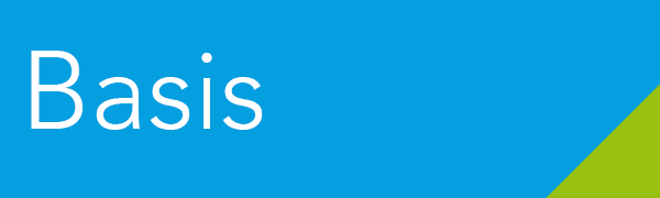 Basic - 1,99 EUR pro User