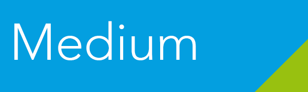 Medium - 4,99 EUR pro User