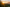 Sonnenuntergang über einem Wald mit Bergen im Hintergrund